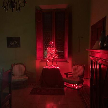 Casa Benvenuti Hotel Pisa Bagian luar foto
